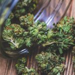 Find calm connection and clarity in one gentle choice