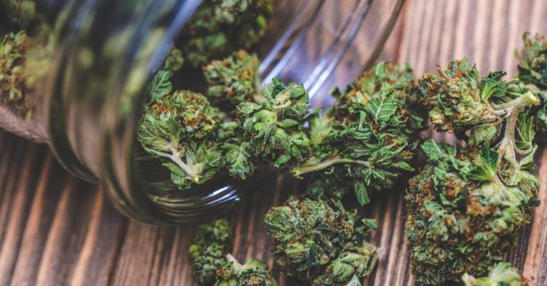 Find calm connection and clarity in one gentle choice