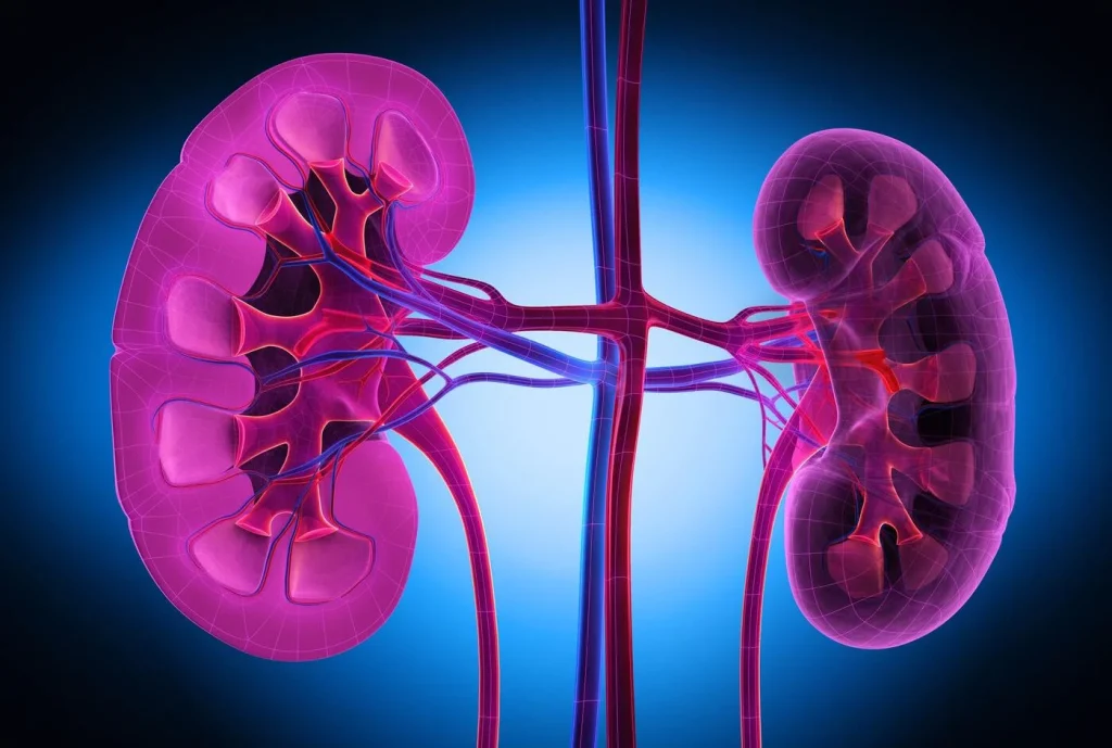 kidney care